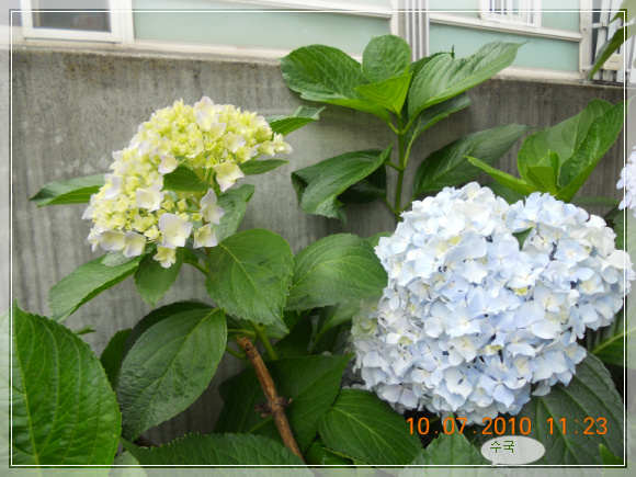 10��7��10�� ����2.jpg