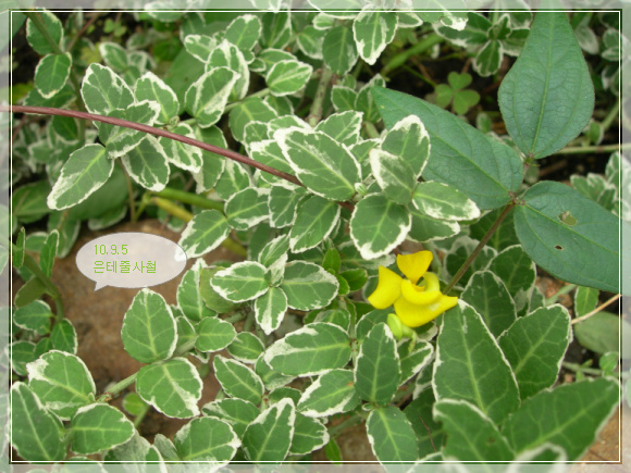 10��9��5�� �����ٻ�ö.jpg