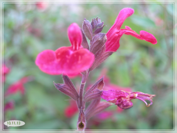 10��11��13�� �ͷ浿��1.jpg