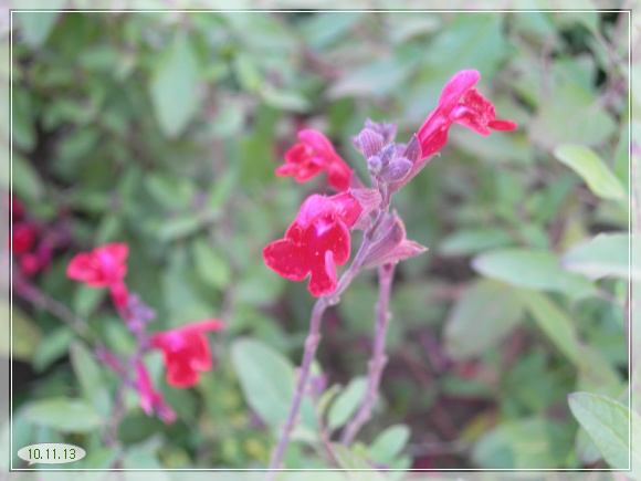 10��11��13�� �ͷᵿ��3.jpg