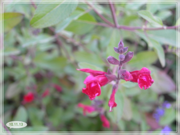 10��11��13�� �ͷᵿ��4.jpg