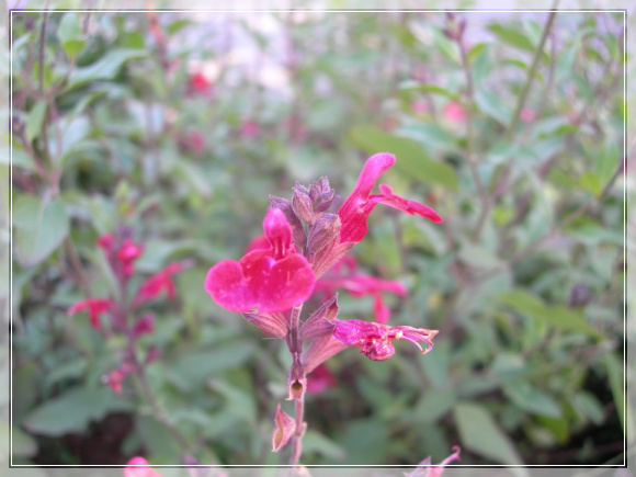 10��11��13�� �ͷ浿��.jpg