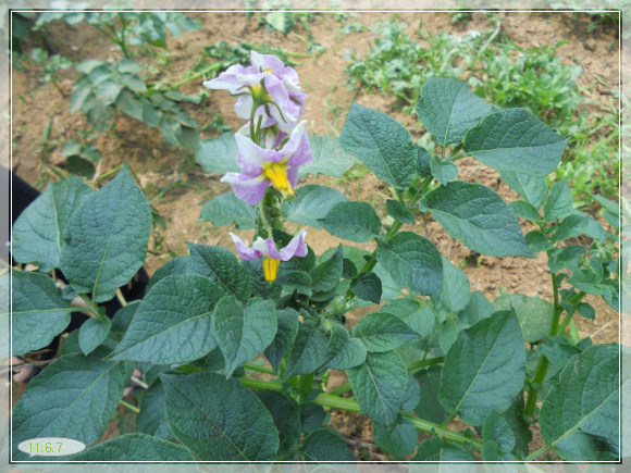 6��7�� ����1.jpg