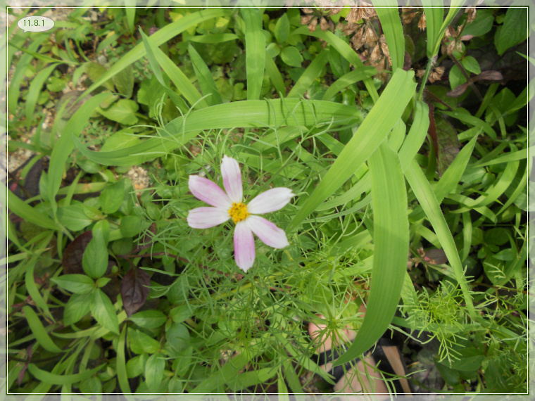 8��1�� �ڽ���.jpg