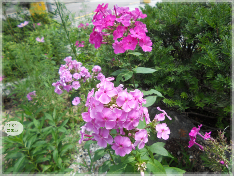 8��1�� �÷Ͻ�.jpg