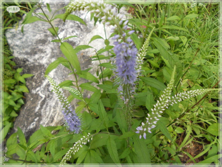 8��2�� ����Ǯ.jpg