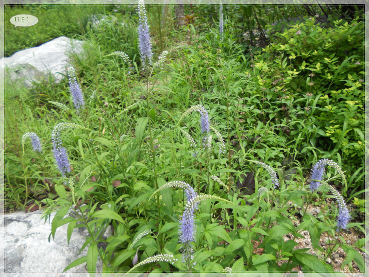 8��2�� ����Ǯ1.jpg