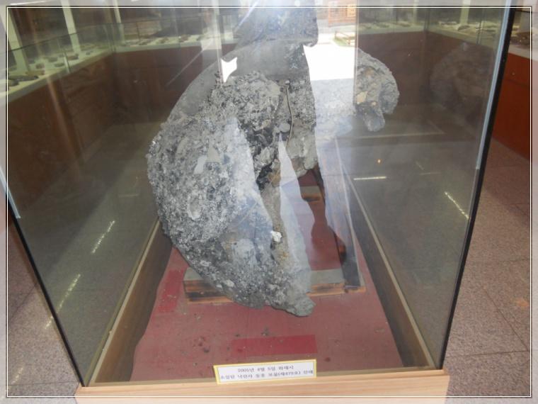 7��29�� �����.JPG