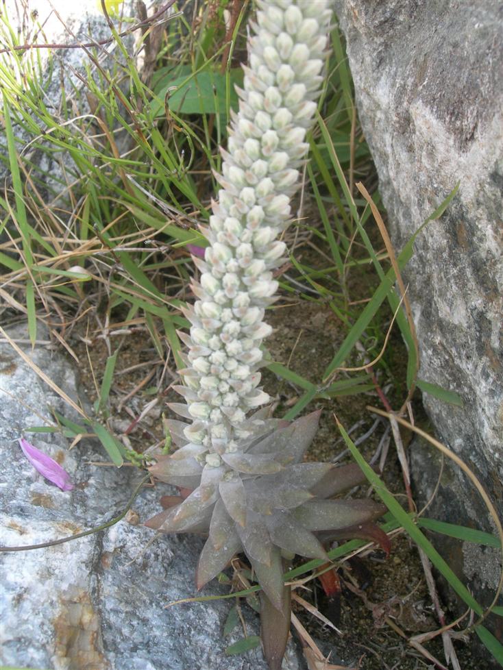 2��6��ź��ȭ ������.jpg