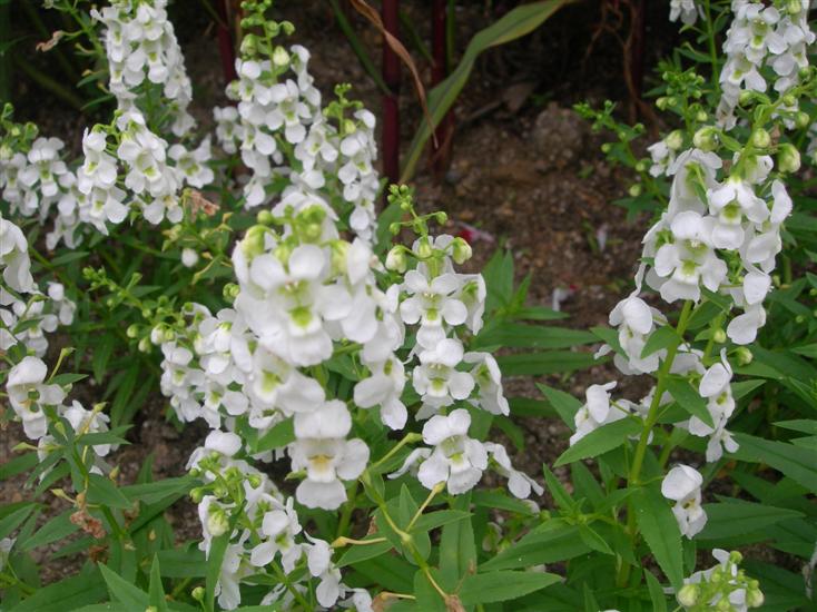 7��2�� ź��ȭ  �ݾ���.jpg