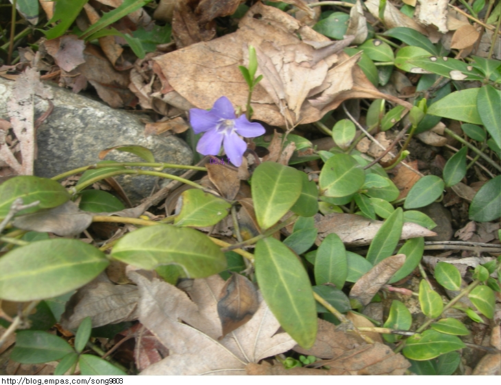 08��4��21�� ��ī.jpg