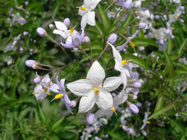 7��12�� ź��ȭ  ��ǳ��.jpg