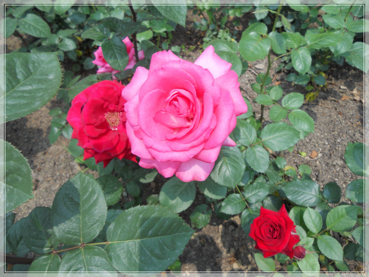 7��23�� ź��ȭ ���.jpg