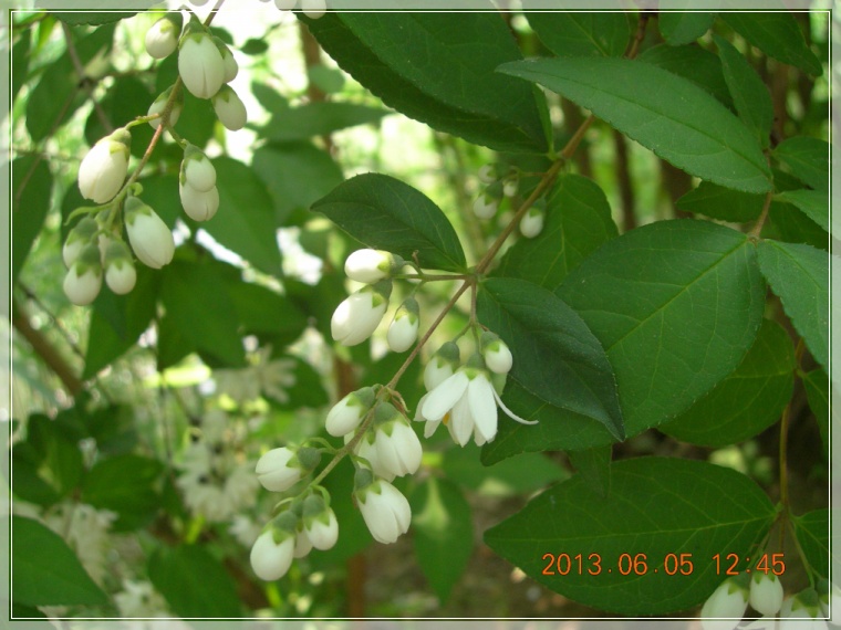 13��6��5�� ���ߵ���9.jpg