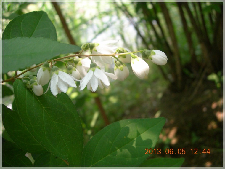 13��6��5�� ���ߵ���11.jpg