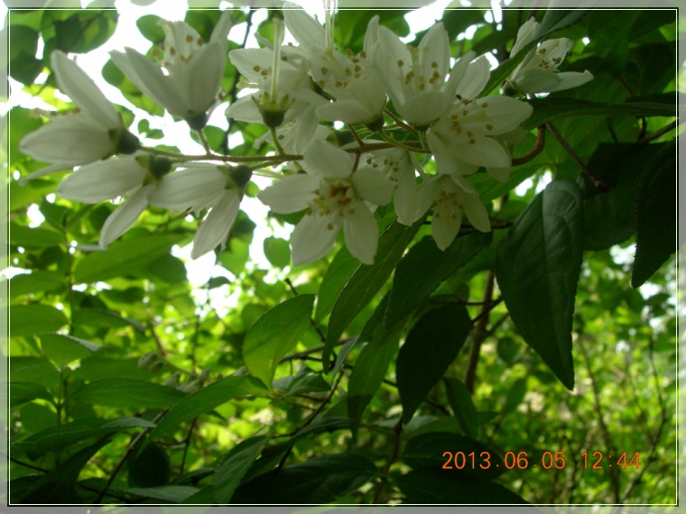 13��6��5�� ���ߵ���12.jpg