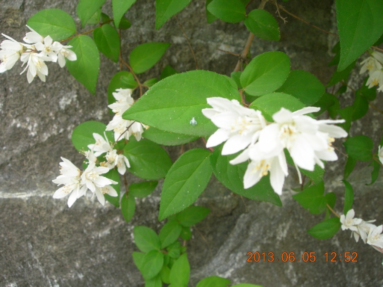 13��6��5�� ���ߵ���.jpg