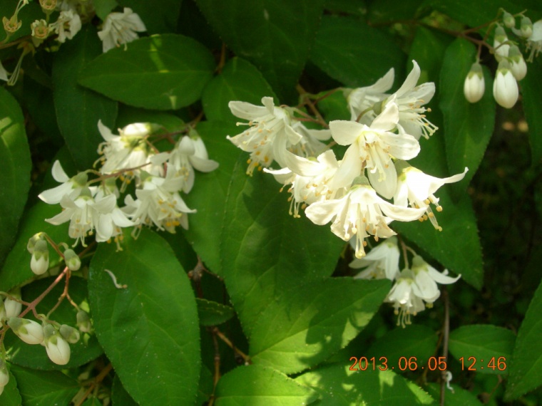 13��6��5�� ���ߵ���2.jpg