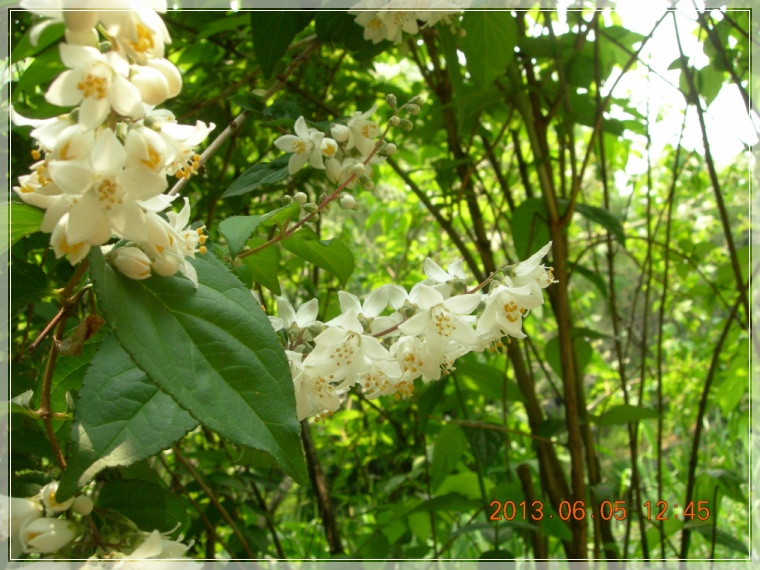 13��6��5�� ���ߵ���6.jpg