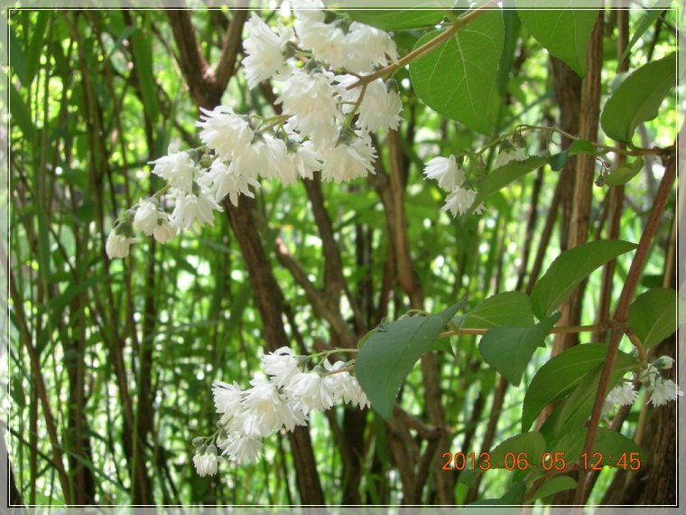 13��6��5�� ��ø�󵵸�3.jpg