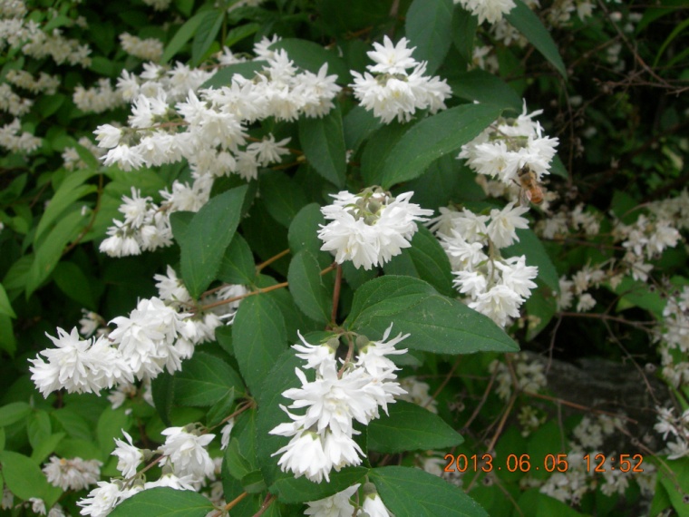 13��6��5�� ��ø�󵵸�4.jpg