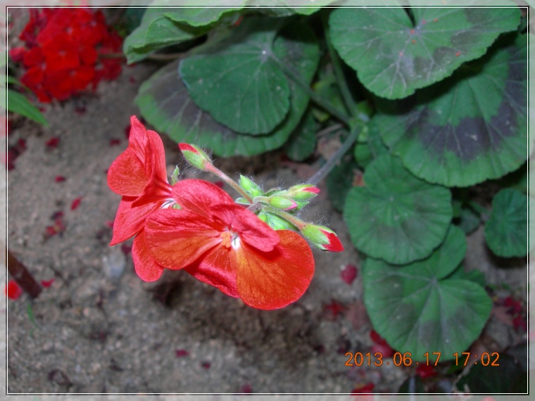 13��6��17�� ����.jpg