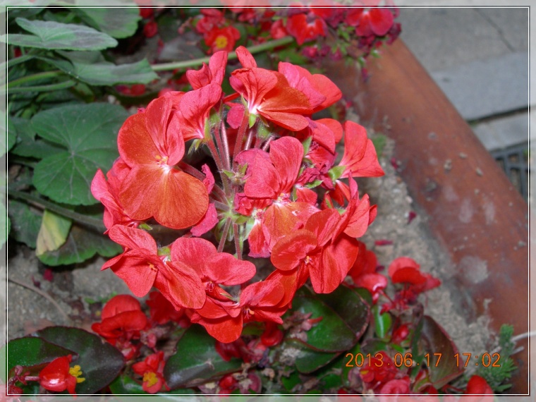 13��6��17�� ����2.jpg