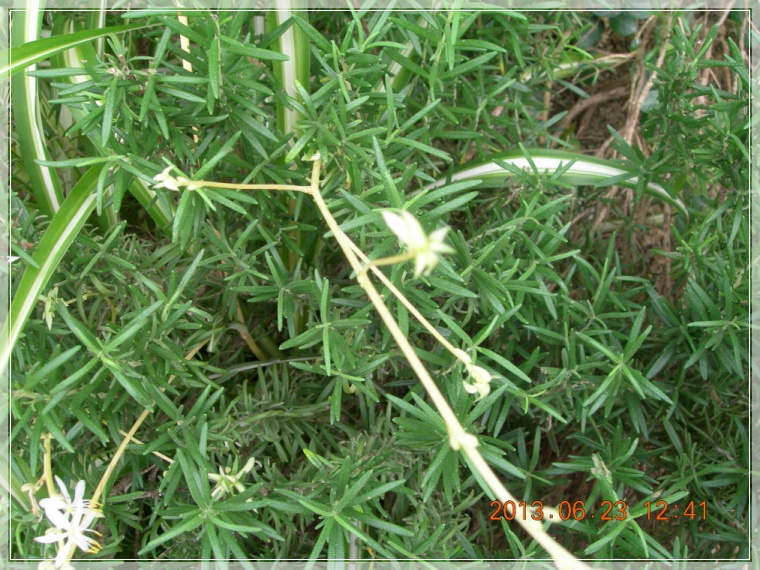 13��6��23�� �����1.jpg