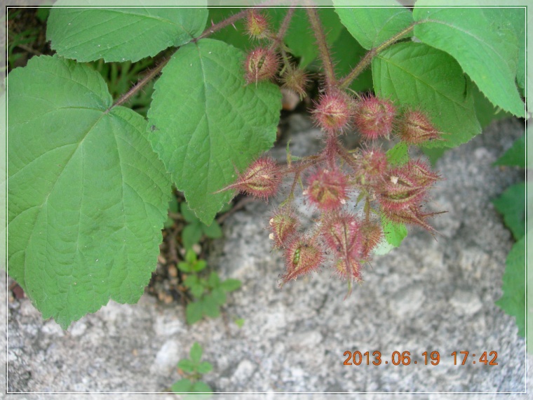 13��6��19�� ��Ȯ��.jpg