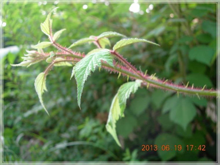 13��6��19�� ��Ȯ��1.jpg