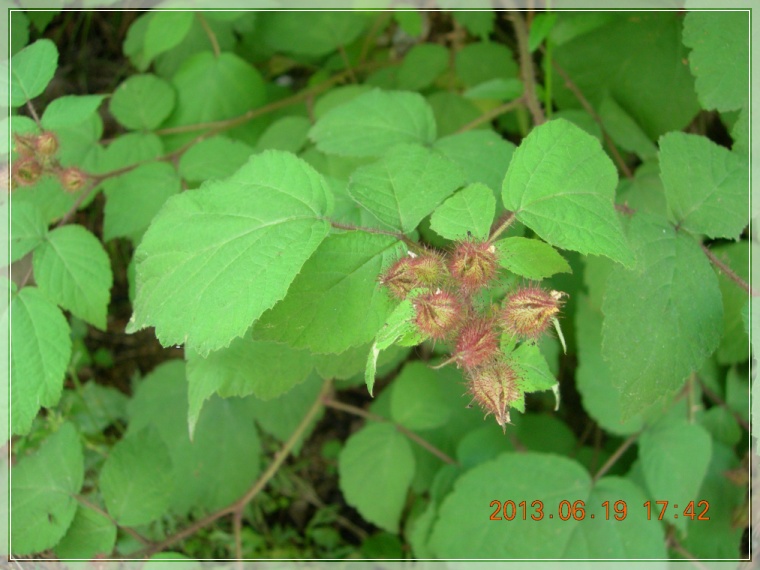 13��6��19�� ��Ȯ��2.jpg