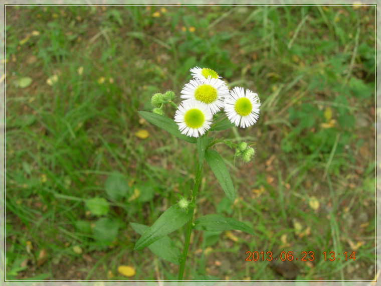 13��6��23�� ������.jpg