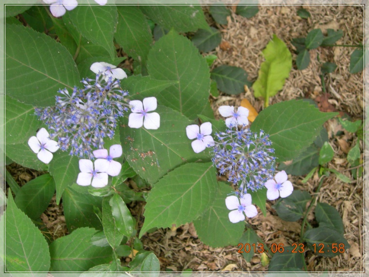 13��6��23�� �����.jpg