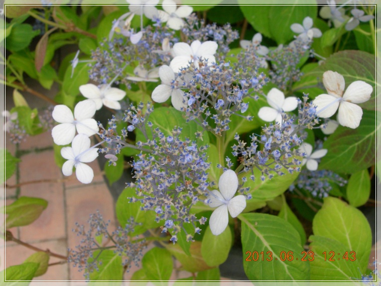 13��6��23�� �����3.jpg