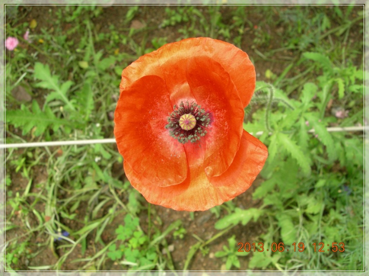 13��6��19�� �ɾ�ͺ�.jpg