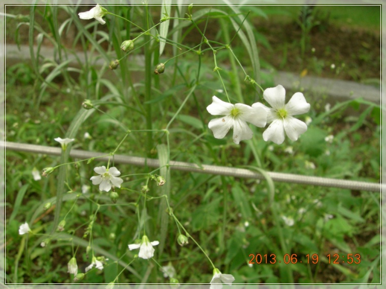 13��6��19�� �����̴볪��.jpg