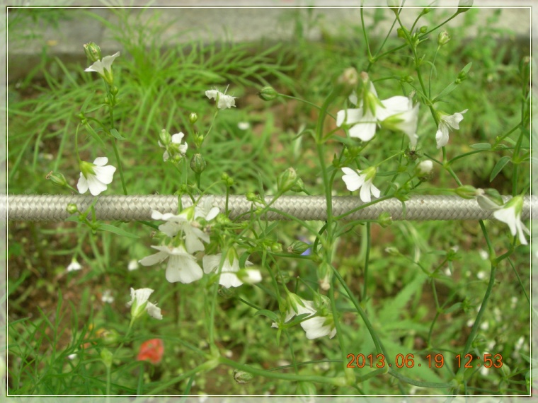 13��6��19�� �����̴볪��1.jpg