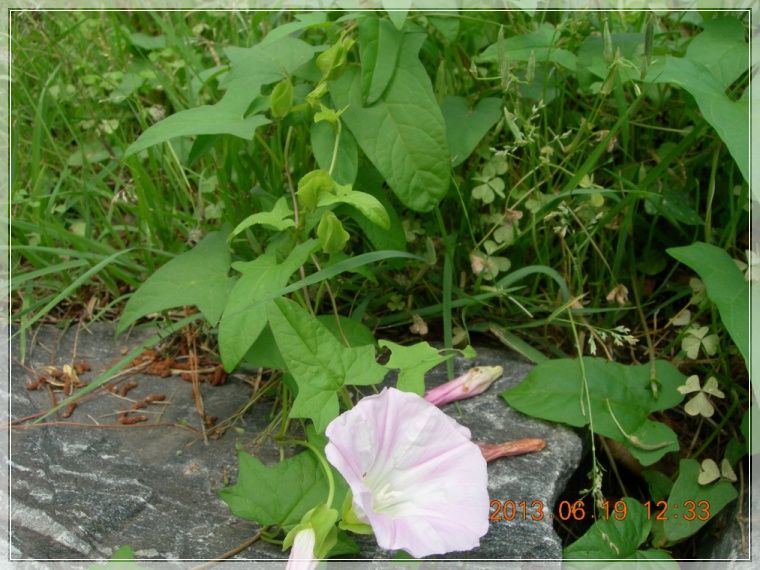 13��6��19�� �޲�.jpg