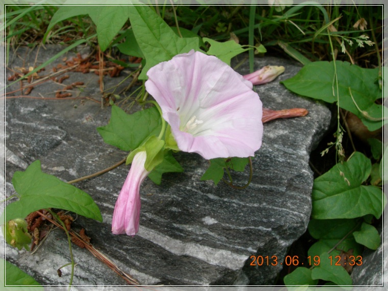 13��6��19�� �޲�1.jpg