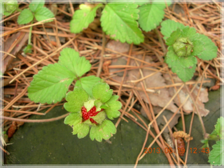 13��6��19�� �����.jpg