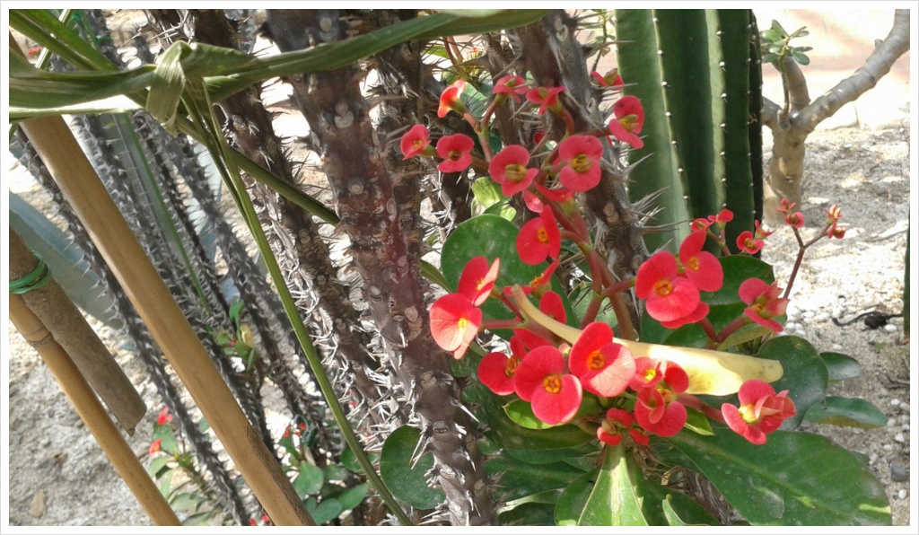 14��3��18�� �ڳ���1.jpg