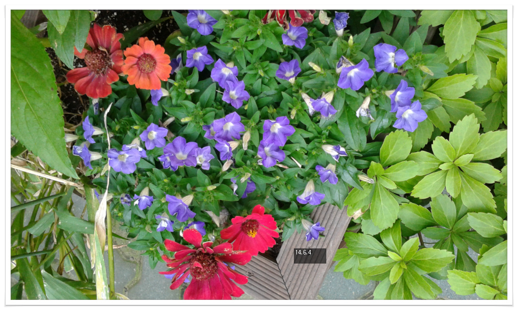 14��6��4�� ���ǴϾ�2.jpg