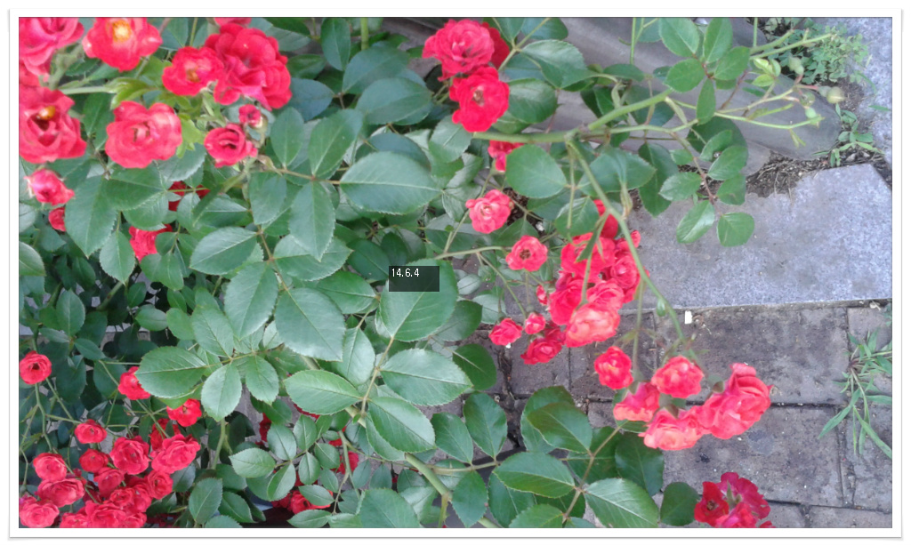 14��6��4�� ���1.jpg