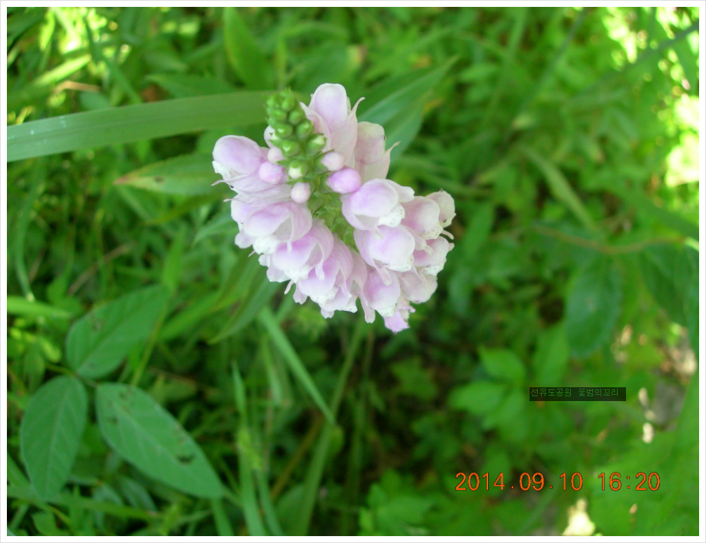 14��9��10�� �ɹ�1.jpg