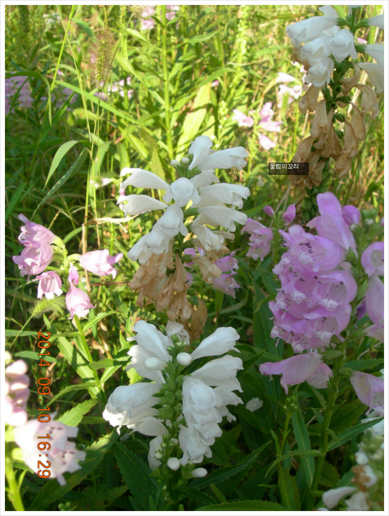 14��9��10�� �ɹ�6.jpg